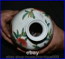 10 Qianlong Marked Chinese Famille rose Porcelain Peach Vase Bottle