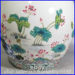 11.4 Qianlong Chinese Famille rose Porcelain Lotus Swallow Jar Pot Pair