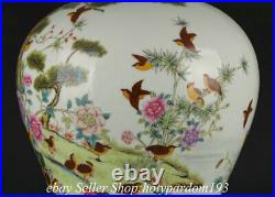 12.6 Qianlong Marked Chinese Famille rose Porcelain Tree Bird Plum Vase Bottle
