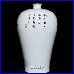 12 A pair Chinese Porcelain qing dynasty qianlong mark famille rose flower Vase