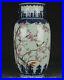 13-6-Qianlong-Chinese-Blue-white-Famille-rose-Porcelain-Flower-Bird-Vase-Bottle-01-gr