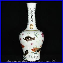13 China Qianlong Marked Famile Rose Porcelain Year Fish Seaweed Vase Bottle