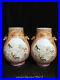 14-6-A-pair-Antique-Porcelain-Qing-dynasty-qianlong-mark-famille-rose-deer-Vase-01-po