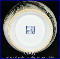 14 Old Chinese Qianlong Marked Famile Rose Porcelain Arhat Luohan Vase Bottle