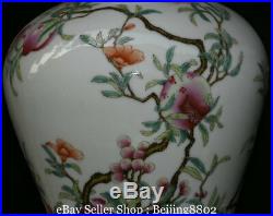 14 Qianlong Marked China Famille Rose Porcelain Dynasty Fruit Tree Bottle Vase