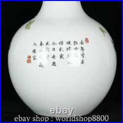 15.6 QianLong Marked China Famile Rose Porcelain Flower Bird Pattern Vase Piar