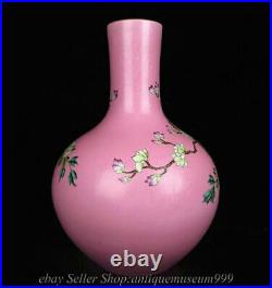 15.6 Qianlong Marked China Qing Famile Rose Porcelain Flower Birds Bottle Vase