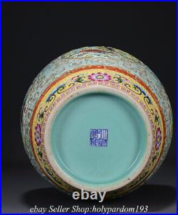 16.4 Qianlong Marked Chinese Famille rose Porcelain Fish hollow out Bottle Vase