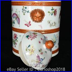 16 Qianlong Chinese Famille rose Porcelain Flower Butterfly handle Kettle