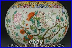 16 Qianlong Marked Chinese Famille rose Porcelain Flower Fish Vase Bottle