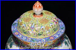 18 Qianlong Marked Chinese Famille rose Porcelain Flower Figure General Jar Pot