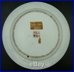 18th Century QIANLONG Chinese Famille Rose Fruits & Butterly Porcelain Plate #2