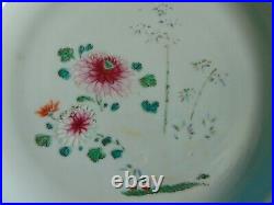 18thC Chinese Export Famille Rose Plate Qianlong Qing Dynasty c1740 VGC