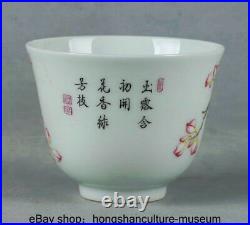 2.6 Qianlong Marked China Famile Rose porcelain Dynasty Flower Bird Teacup Pair