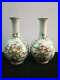 2-x-Amazing-Chinese-Famille-Rose-Porcelain-Peaches-Vases-Marks-QianLong-01-wutj