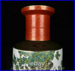 21 Qianlong Marked Old Famile Rose Porcelain Dynasty Flower Birds Bottle Vase