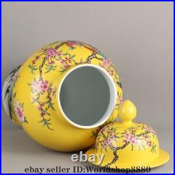 27.2 Qianlong Marked Chinese Famille rose Porcelain Flower Bird Jar Pot Pair