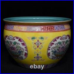 6.3 Old dynasty Porcelain qianlong mark pair famille rose flower plant plum pot