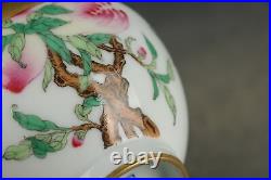 6.7 Old dynasty Porcelain qianlong mark famille rose Branch flower Fruits vase