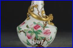 6.7 Old dynasty Porcelain qianlong mark famille rose Branch flower Fruits vase