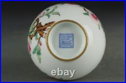 6.7 Old dynasty Porcelain qianlong mark famille rose Branch flower Fruits vase