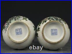 6.9 Antique dynasty Porcelain qianlong mark pair famille rose flower bird vases