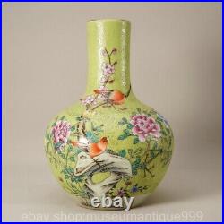 8.8 Qianlong Marked Chinese Famille rose Porcelain Flower Bird Vase Bottle