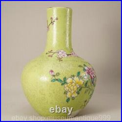 8.8 Qianlong Marked Chinese Famille rose Porcelain Flower Bird Vase Bottle