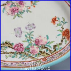 8 Old Porcelain Qing dynasty qianlong mark famille rose pomegranate peony Plate