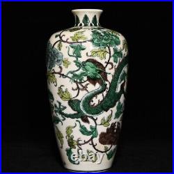 9.5 Old dynasty Porcelain qianlong mark famille rose Dragon flowers plants vase
