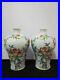 A-Pair-Of-Antique-Chinese-Famille-Rose-Porcelain-Peaches-Vases-QianLong-Marks-01-xdep