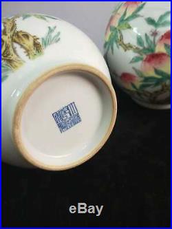 A Pair Of Exquisite Chinese Famille Rose Porcelain Peaches Vases Marks QianLong