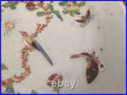 Antique Chinese Handpainted Birds Famille Verte Celadon Porcelain Plate Signed