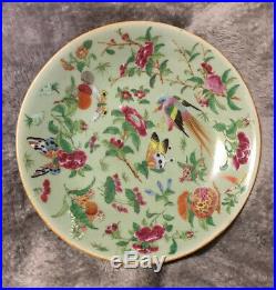Antique Rose Famille Chinese Porcelain Plate Hand Painted Qing Qianlong Celadon