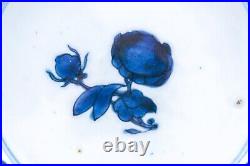 Chinese Blue White Botanical Plate after Maria Sybille Merian Qianlong (1736-95)