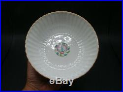 Chinese Dao Guang (1821-1850) period famille rose big bowl Qian Long mark v5373