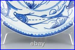 Chinese Fish Plate Blue & White Porcelain Qing Dynasty Guangxu Marked 1862 -1874