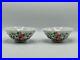Chinese-Porcelain-pair-of-famille-rose-bowls-Qianlong-mark-19th-C-01-hnzp