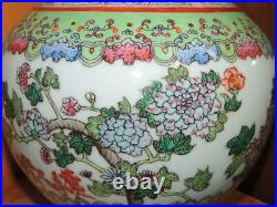 Chinese Vase 13.75 Famille Verte bats carp koi seahorse handles mark Qianlong