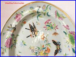 Large 38cmW Chinese Qing Qianlong Daoguang Era Famille Rose Porcelain Platter