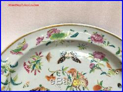 Large 38cmW Chinese Qing Qianlong Daoguang Era Famille Rose Porcelain Platter