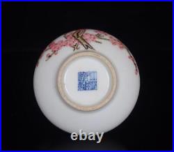 Pair Old Chinese Famille Rose Porcelain Vase Qianlong Marked St367