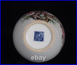 Pair Old Chinese Famille Rose Porcelain Vase Qianlong Marked St443