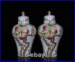 Pair Old Chinese Famille Rose Porcelain Vase Qianlong Marked St677