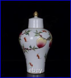 Pair Old Chinese Famille Rose Porcelain Vase Qianlong Marked St677