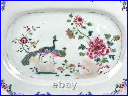 Pair Superb Chinese 18th Porcelain Double Peacock Platter Famille Rose Qianlong