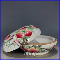 RARE Qing Dynasty DouCai CHINESE Antique Famille Rose/Verte Fruit Porcelain Box