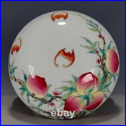RARE Qing Dynasty DouCai CHINESE Antique Famille Rose/Verte Fruit Porcelain Box