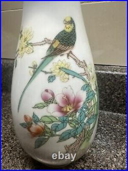 Rare Antique Chinese Qianlong Porcelain Hand Painted Famille Rose Vase